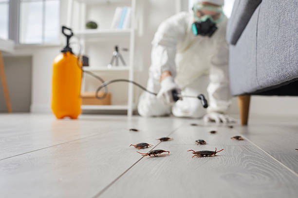 Commercial Rodent Management in Sunset Hills